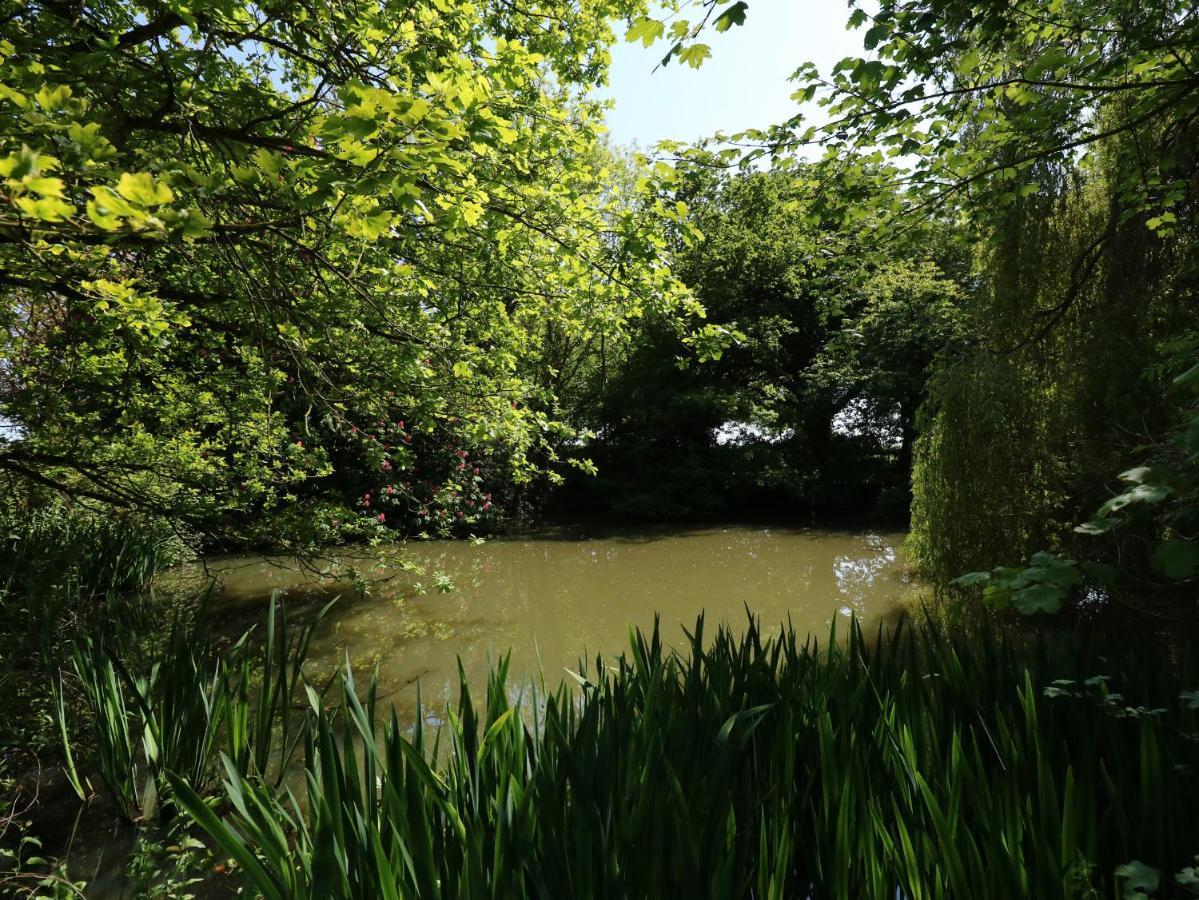 Hadleigh Farm Cottage Κινγκς Λιν Εξωτερικό φωτογραφία